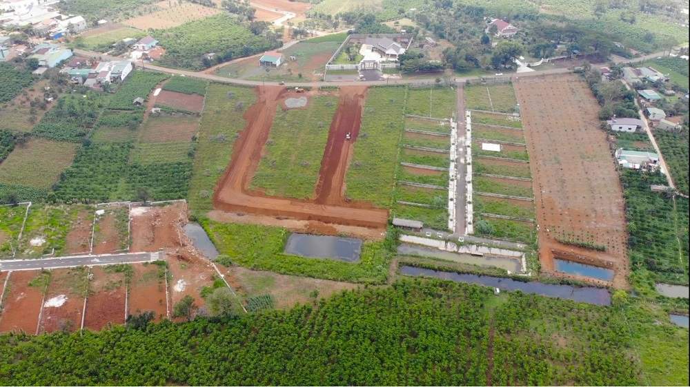 Xác định rõ mua đất Lâm Đồng làm gì trước khi đầu tư